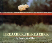 Here a Chick, There a Chick (book cover)