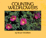 Counting Wildflowers (book cover)
