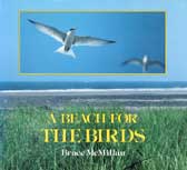 A Beach for the Birds (book cover)