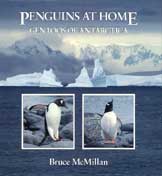 Penguins at Home, Gentoos of Antarctica (book cover)
