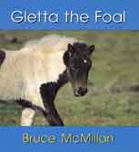 Gletta the Foal (book cover)