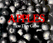 Apples - How they Grow (book cover)